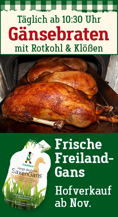 Goldbrauner Gänsebraten im schwarzen Ofen mit einen Gänsekeulen. Frische Gans, SaxenGans, Hofverkauf ab November