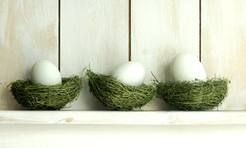 Weiße Gänseeier im grünen Nest vor einer weißen Holzwand erzählen von den ersten gelegten Gänseeiern der Saison.