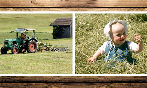 Sommerzeit ist Heuzeit, der Bauer fährt mit dem Traktor über die frisch gemähte Wiese, auf dem zweiten Bild sitzt ein Baby im Stroh und freut sich über den schönen Tag im Freien