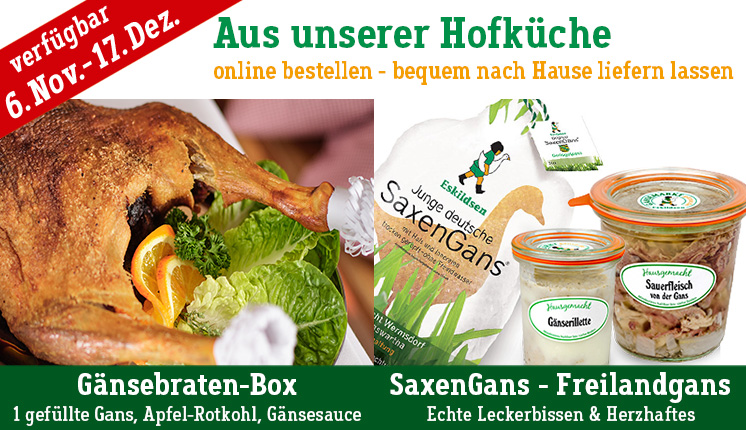 Verfügbar: Im Lecker-Shop des Gänsemarkt Wermsdorf gibt es Gänse-Spezialitäten aus unserer Hofküche. Zum Beispiel die Gänsebraten-Box mit einer vorgebratenen gefüllten Gans, Apfel-Rotkohl und Gänsesauce (mit Rotwein), unsere SaxenGans, eine frisch geschlachtete Freilandgans, echte Leckerbissen und Herzhaftes. Einfach online bestellen und bequem nach Hause liefern lassen.